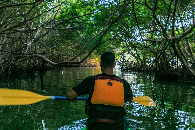 Bio Bay Night Kayaking | Laguna Grande, Fajardo - Who will enjoy this night kayak trip?