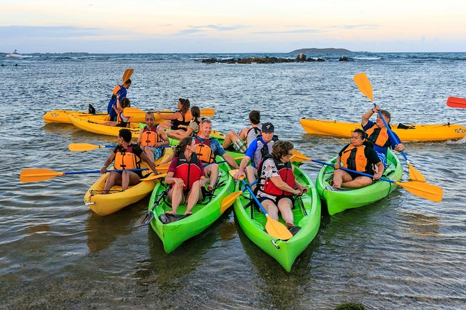 Bio Bay Night Kayaking with Transport from San Juan Area - From San Juan to the Fajardo launch site