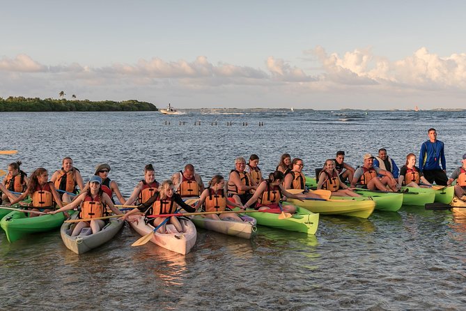 Bio Bay Night Kayaking with Transport from San Juan Area - Guides, safety, and the group atmosphere