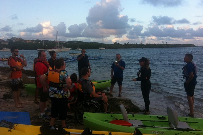 Bio Bay Night Kayaking with Transport from San Juan Area - Wet clothes, insects, and other practical details