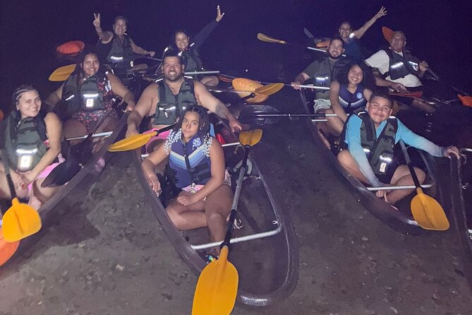 Biobay Vieques Tour Kayak Night Tour - Key points about the Vieques biobay kayak tour