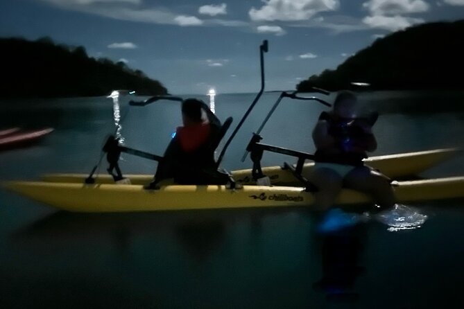Bioluminescent Bay Chiliboats Waterbike Tour in La Parguera - Moon phase, clouds, and rain matter more than the photographs