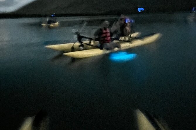 Bioluminescent Bay Chiliboats Waterbike Tour in La Parguera - Is $79 a fair price for this night tour?