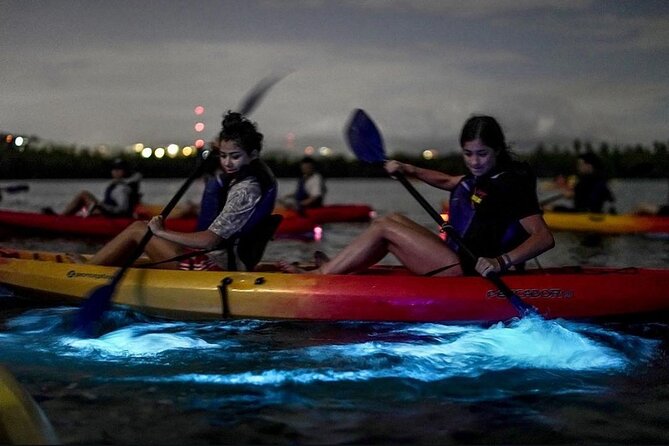 Bioluminescent Bay Kayak Tour in Fajardo Puerto Rico - Key points before you book