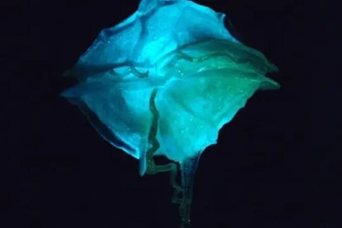 Bioluminescent Bay Kayak Tour in Fajardo Puerto Rico - Bahia Fajardo: the calm start