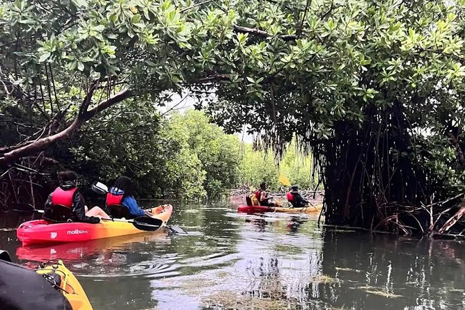 Bioluminescent Bay Kayak Tour in Fajardo Puerto Rico - The mangrove channel: the quietest part of the route