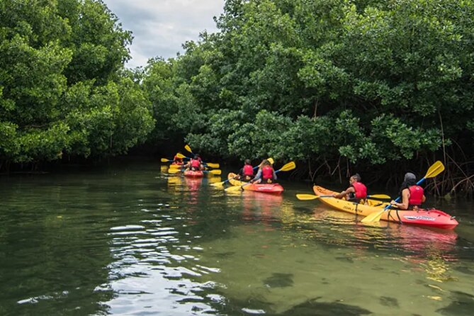 Bioluminescent Bay Kayak Tour in Fajardo Puerto Rico - Faro Cabezas de San Juan and the coastal setting
