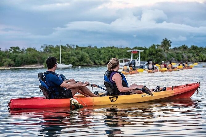 Bioluminescent Bay Kayak Tour in Fajardo Puerto Rico - The El Yunque view from the water