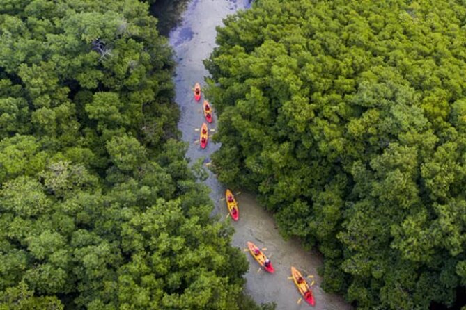 Bioluminescent Bay Kayak Tour in Fajardo Puerto Rico - Returning through Bahia Fajardo