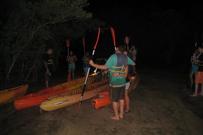 Bioluminescent Bay Kayak Trip from Vieques - Key things to know before you book