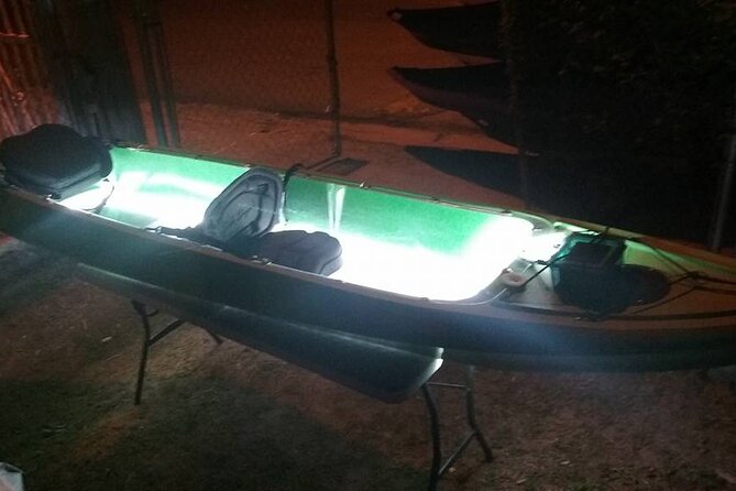 Bioluminescent Bay Kayak Trip from Vieques - What the guides add to the night