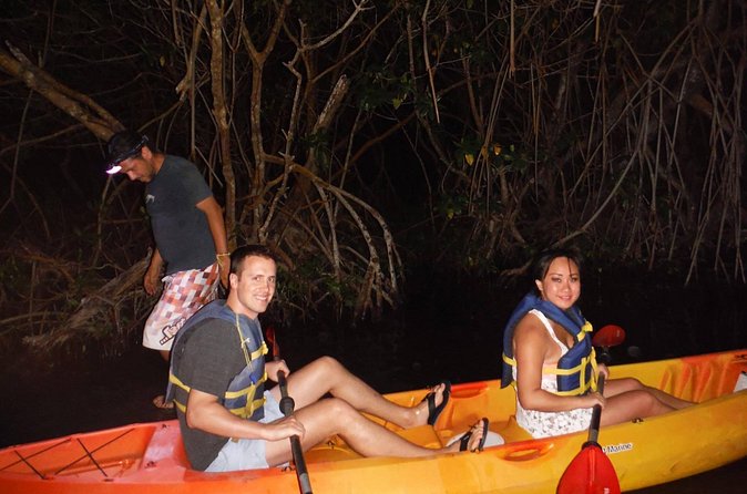Bioluminescent Bay Kayak Trip from Vieques - One and a half hours among the glowing mangroves
