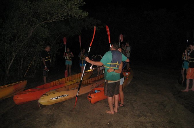 Bioluminescent Bay Kayak Trip from Vieques - How bright will the bioluminescence be?