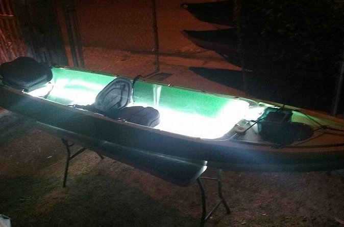 Bioluminescent Bay Kayak Trip from Vieques - Is $65 a fair price?