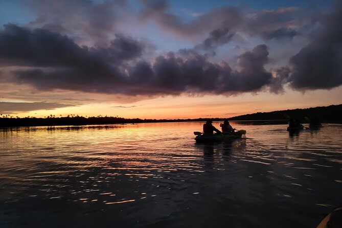 Bioluminescent Bay Night Kayaking Adventure in Puerto Rico - Key points to know before you book