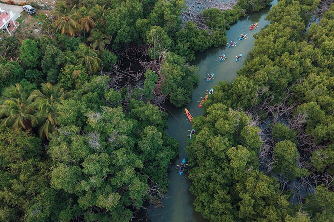 Bioluminescent Bay Night Kayaking Adventure in Puerto Rico - The paddle back through the dark