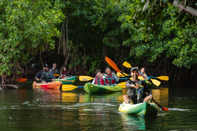 Bioluminescent Bay Night Kayaking Adventure in Puerto Rico - Who will enjoy this tour most?