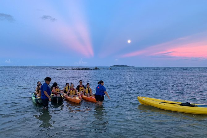 Bioluminescent Bay Night Kayaking, Fajardo - Key things to know before paddling out