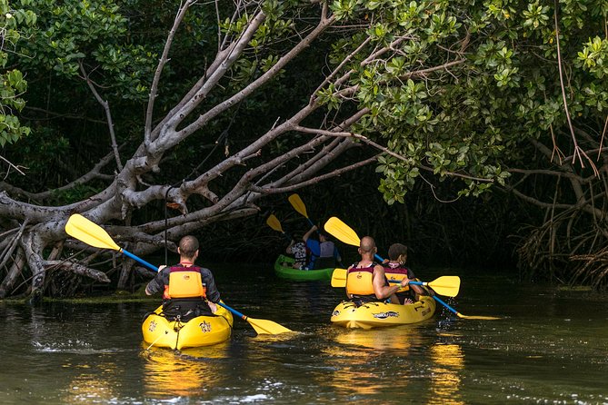 Bioluminescent Bay Night Kayaking, Fajardo - What the $79 price really covers
