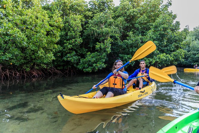 Bioluminescent Bay Night Kayaking, Fajardo - Paddling beneath the mangrove canopy