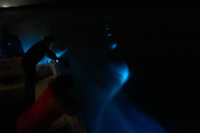 Bioluminescent Boat Tour in Mosquito Bay, Vieques - Seeing the water light up