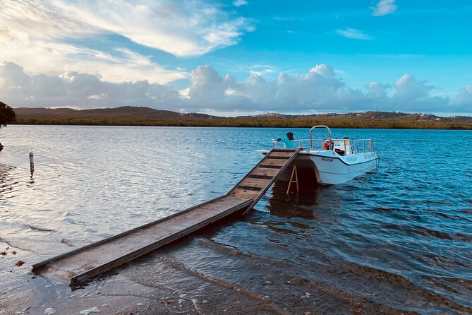 Bioluminescent Boat Tour in Mosquito Bay, Vieques - Boat or kayak for Mosquito Bay?