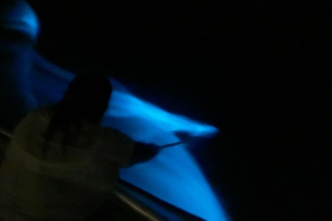 Bioluminescent Boat Tour in Mosquito Bay, Vieques - Weather, moonlight, and cancellation risk