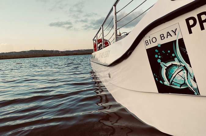 Bioluminescent Boat Tour in Mosquito Bay, Vieques - Who should book this boat tour?