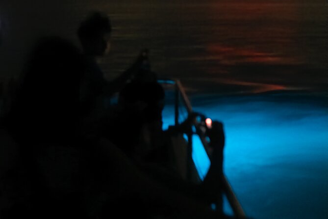 Bioluminescent Boat Tour in Mosquito Bay, Vieques - Boarding the 24-foot electric catamaran