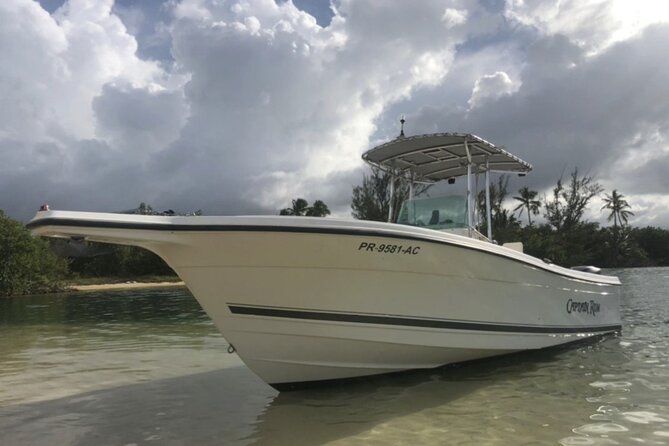 Boat trip in palomino /icacos /fajardo Puerto Rico - Key points to know before you book