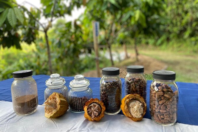 Cacao Walking Tour in Puerto Rico - Starting at Finca La Providencia in Moca