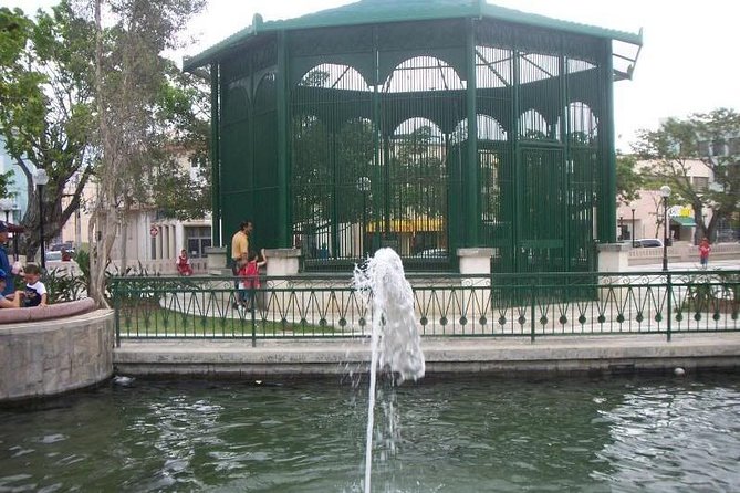 Caguas Cultural Day Trip from San Juan Including Botanical Garden and Lunch - The guide can shape the whole day