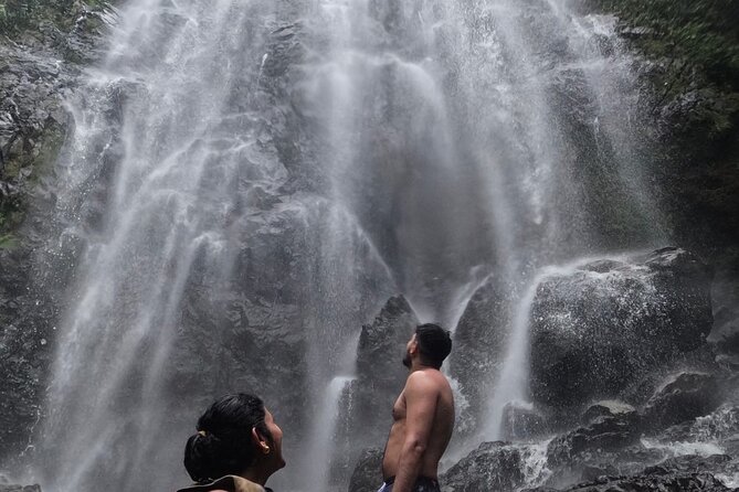 Chase Waterfalls - Discover a hidden 180ft rainforest gem - Key Points Before You Book