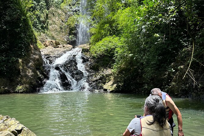 Chase Waterfalls - Discover a hidden 180ft rainforest gem - The 180-Foot Waterfall