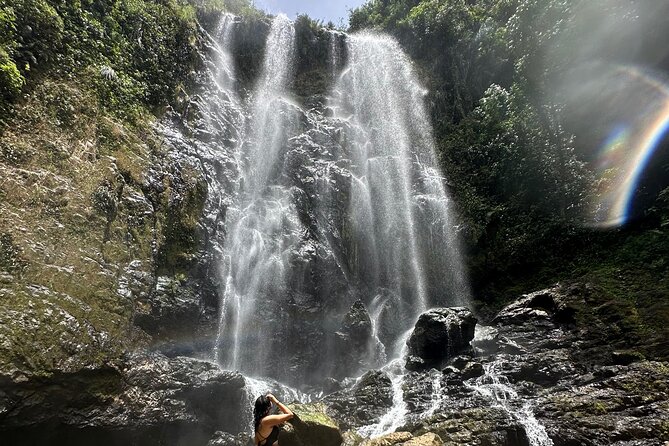 Chase Waterfalls - Discover a hidden 180ft rainforest gem - Photos, Fruit, and the Human Touch