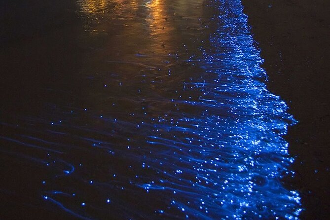 CLEAR BOTTOM KAYAKS Tour in Bioluminescent, Mosquito Bay - Key points before you book