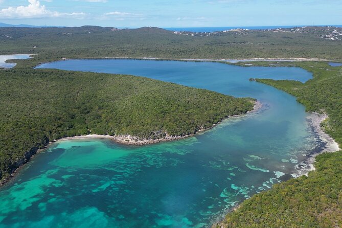 CLEAR BOTTOM KAYAKS Tour in Bioluminescent, Mosquito Bay - The ferry problem you must solve first