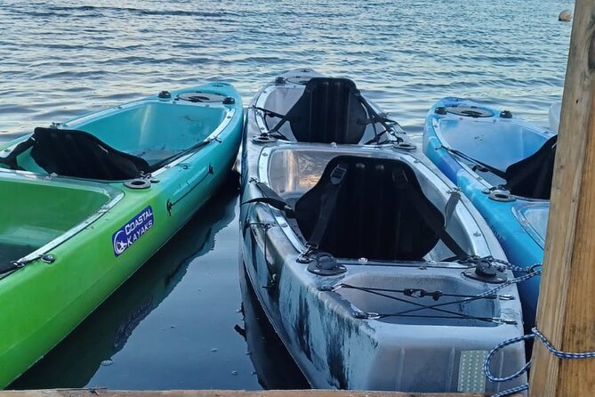 CLEAR BOTTOM KAYAKS Tour in Bioluminescent, Mosquito Bay - The full moon and weather rules