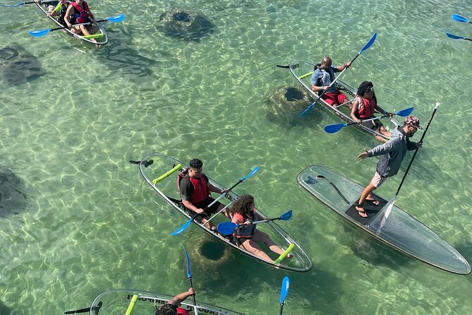Clear Kayak Tour in Condado Lagoon - Key Points to Know Before You Paddle