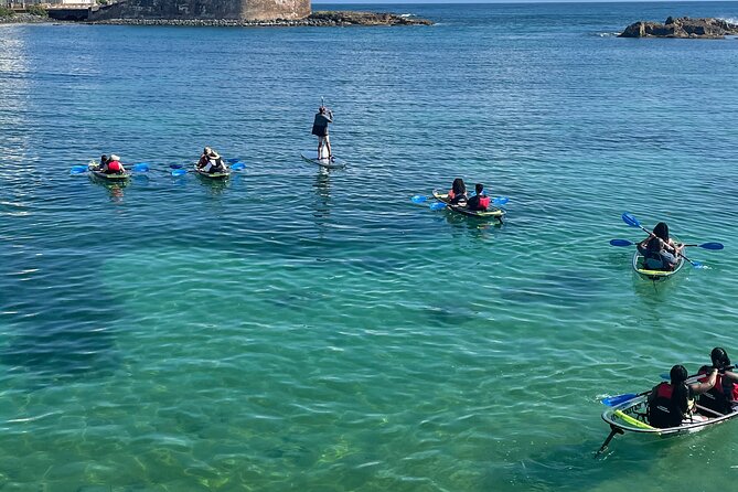 Clear Kayak Tour in Condado Lagoon - Photos Without an Extra Charge