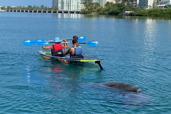 Clear Kayak Tour in Condado Lagoon - Is $59 a Fair Price for One Hour?
