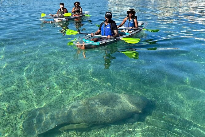 Clear Kayak Tour in Condado Lagoon - One Hour Around Laguna del Condado