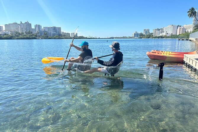 Clear LED Kayaking in Condado Lagoon - What the $65 price is really buying