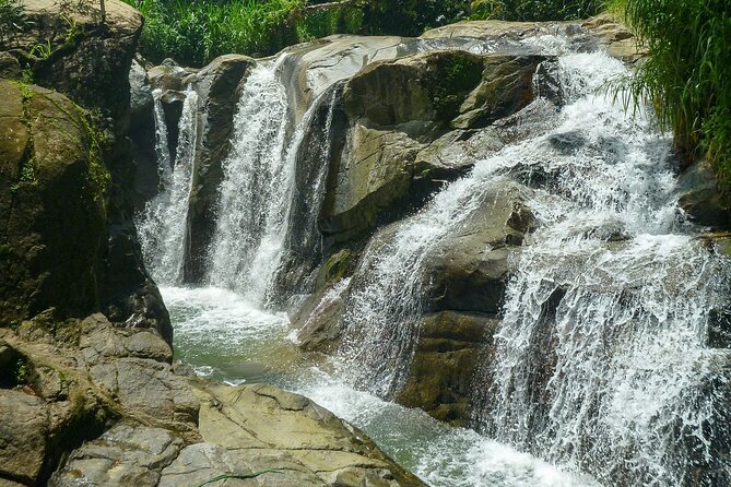Coffee Plantation and River with Waterfalls in Puerto Rico - Río Siete Chorros brings the water