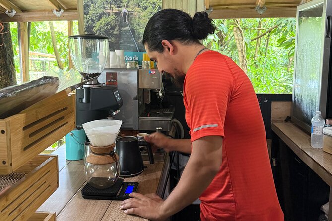 Coffee & Waterfalls Tour: from the mountains to the cup - Toro Negro State Forest and the central mountain setting