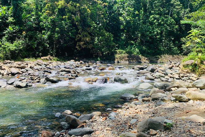 Concrete Jungle to the Actual Jungle, The Complete Package Tour - Along the Coast: A Short Stop With a Local Feel