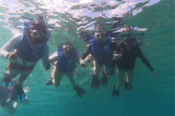 Coral Reef and Sea Turtle Snorkeling Experience - Key points to know before booking