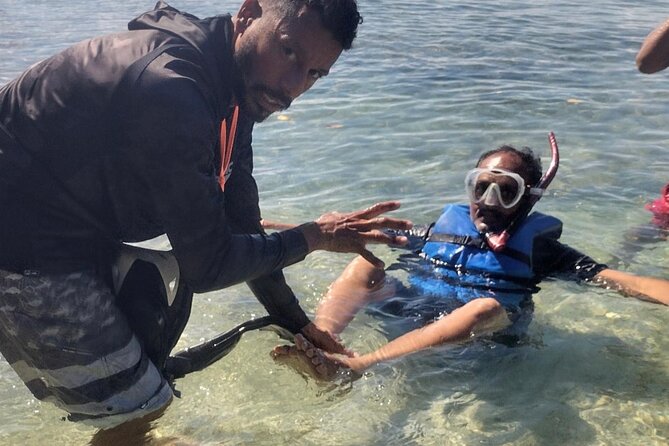 Coral Reef and Sea Turtle Snorkeling Experience - Equipment, snacks, and guide support