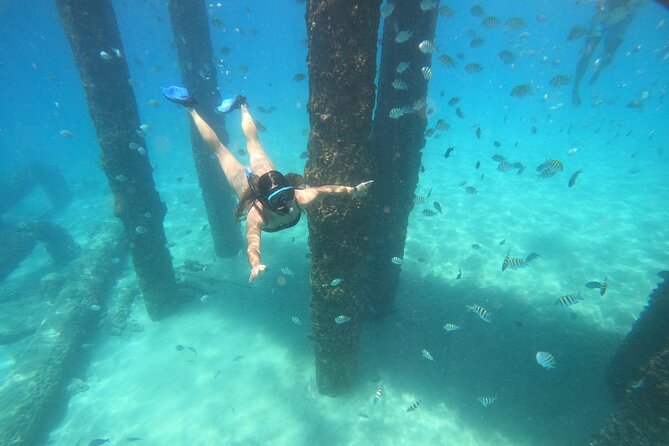 Coral Reef Snorkel Adventure with Photos and Videos - Key points to know before you book