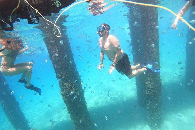 Coral Reef Snorkel Adventure with Photos and Videos - What happens at 564 Black Eagle Road